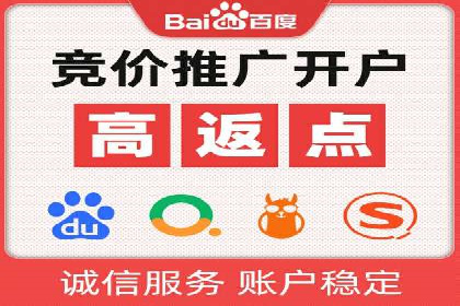 百度广告投放策略与效果评估案例